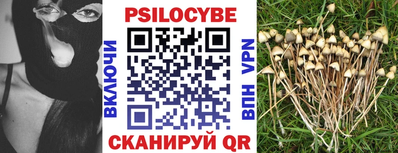 Псилоцибиновые грибы мицелий  Семикаракорск 